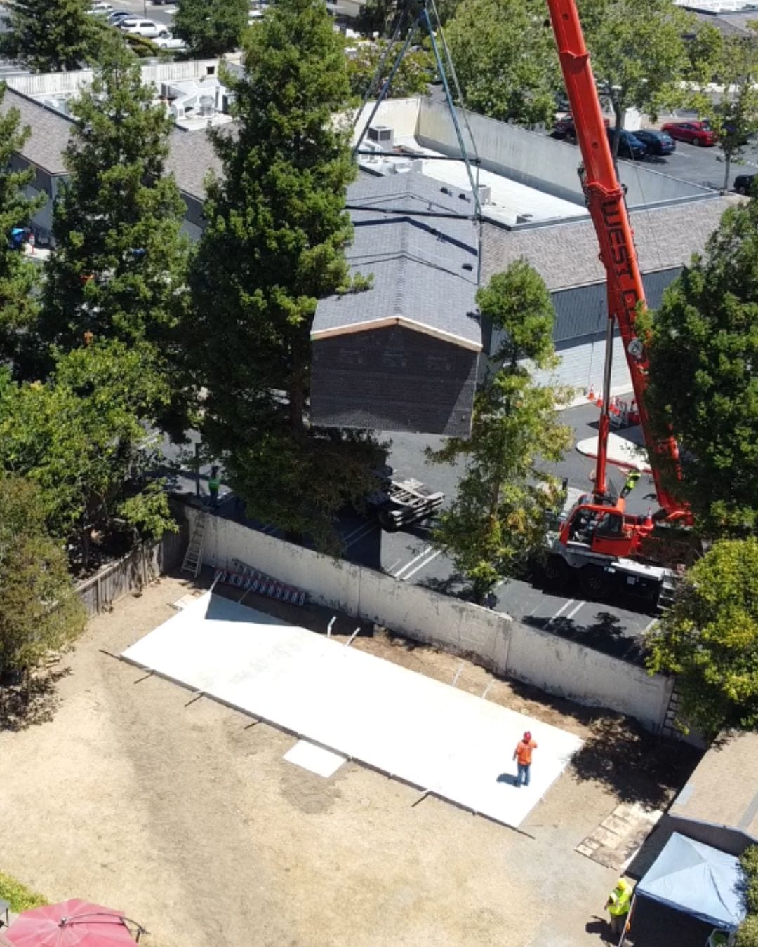 Delivery Day photo 3